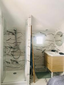La salle de bains est pourvue d'une douche et d'un lavabo. dans l'établissement Maison situé au centre d'Enghien les Bains avec jardin et parking privé, à Enghien-les-Bains