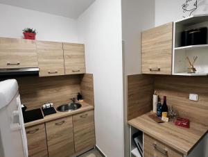 una cocina con armarios de madera y fregadero en Fara No71 apart 2 en Libice nad Cidlinou