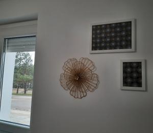 Fotografia z galérie ubytovania Studio Tara Divčibare v destinácii Divčibare