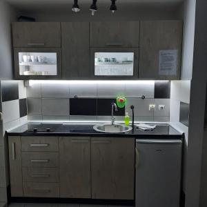 Kuchyňa alebo kuchynka v ubytovaní Studio Tara Divčibare