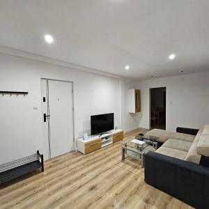 sala de estar con sofá y TV de pantalla plana en Apartament Tuwima 1 en Prudnik