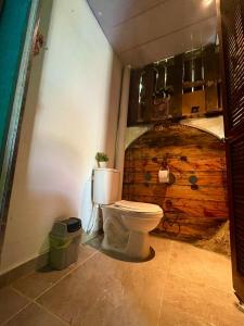 Et badeværelse på Green House's + 20 billeder