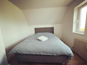 Bett in einem kleinen Zimmer mit Fenster in der Unterkunft Pet-Friendly Apartment 1 30m2 - close to Femern & Puttgarden & Lalandia & Knuthenborg in Holeby