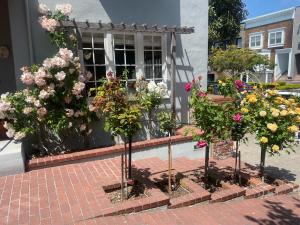 a group of flowers in front of a building at My Rosegarden Guest Rooms in San Francisco