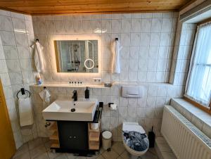 a bathroom with a sink and a toilet and a mirror at Ferienwohnung Alpenblick Dorner in Oberreute