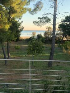 een hek in een veld met bomen en de oceaan bij villa california seafront in Montesilvano