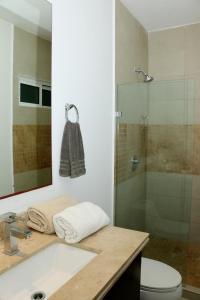 La salle de bains est pourvue d'une douche, d'un lavabo et de toilettes. dans l'établissement Marina Excelsior, à Playa del Carmen