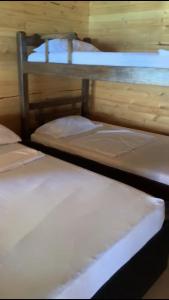 a couple of bunk beds in a room at WonderBeach Baru Raquel in Barú