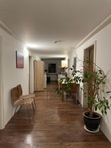 een woonkamer met een stoel en een tafel met planten bij Zimmer mit eigener Dusche & WC , beim Stausee in Schömberg