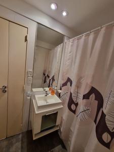baño con lavabo y cortina de ducha en Palermo Soho en Buenos Aires