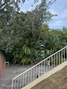 eine Treppe mit einem weißen Geländer und Bäumen in der Unterkunft Oasis Wynwood in Miami