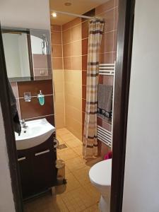 a bathroom with a sink and a toilet at Kamenec chata Thermal in Kaluža