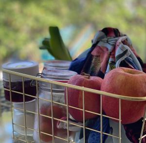 una cesta de alambre con manzanas y tarros de conservas en ZIRUMA HOUSE, en Santa Elena