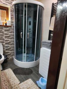 W łazience znajduje się prysznic ze szklanymi drzwiami. w obiekcie Chalúpka Mischel w mieście Rakowa