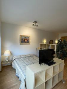 Schlafzimmer mit einem Bett und einem Schreibtisch mit einem TV in der Unterkunft Bernabéu Loft Moderno in Madrid