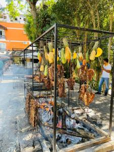 una jaula llena de pollos cocinándose sobre un fuego en Hotel Thermas Classic, en Marcelino Ramos