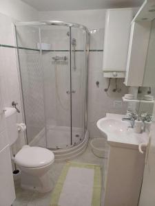 a bathroom with a shower and a toilet and a sink at Apartments with parking spaces Draga Bascanska, Krk - 22861 in Draga Bašćanska