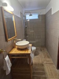 uma casa de banho com um lavatório e um WC em Le Vénusien em Le Robert