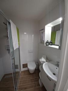 a bathroom with a toilet and a sink and a shower at ZIL - Studio Apartment City Center in Zagreb