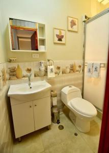 ein Bad mit einem WC und einem Waschbecken in der Unterkunft Aparthotel Sauce Suites B in Sauce