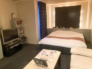 TV a/nebo společenská místnost v ubytování グッドホテル大阪 大人専用