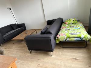 a living room with a couch and a bed at Le bonheur 1 & 2 parking et wifi gratuits in Charleroi