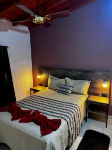 a bedroom with a bed and a ceiling fan at Apart Tommy Islas Malvinas y cacique catriel in Catriel