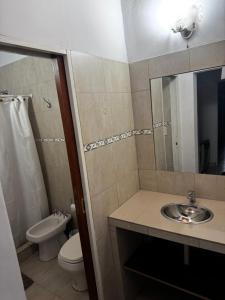 ein Badezimmer mit einem Waschbecken, einem WC und einem Spiegel in der Unterkunft Apart Tommy Islas Malvinas y cacique catriel in Catriel