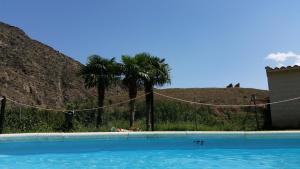 a swimming pool with palm trees and a hill at El Retiro de Isabel in Embid de la Ribera