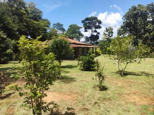a house in the middle of a yard with trees at Casa da montanha, sítio em Secretário (Petrópolis) in Petrópolis