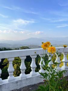 a bunch of yellow flowers on a white railing at Bellwood Hills Resort & Spa in Kandy
