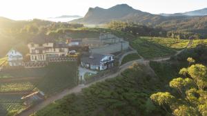 an aerial view of a house in a vineyard at Dover Cottage in Nuwara Eliya