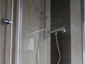 a shower with a shower head in a bathroom at Ostseebrandung - Haus Seepferdchen in Dranske