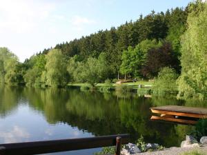 een bank naast een meer met bomen bij Holiday home Blumenhain in Bad Wünnenberg