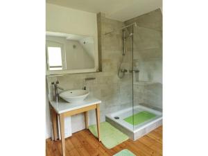 bagno con lavandino e doccia di Haus Waldliebe Modern retreat a Hüttenrode