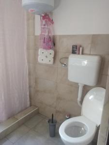 a small bathroom with a toilet and a shower at Landhaus in Bosanska Dubica