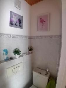 łazienka z toaletą i zdjęciami na ścianie w obiekcie Chambre spacieuse dans joli village alsacien w mieście Châtenois