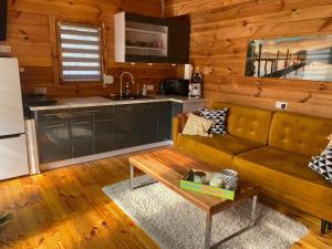uma sala de estar com um sofá e uma cozinha em Holiday home with private sauna and jacuzzi em Stepnica