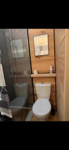 a small bathroom with a toilet and a shower at La Tiny house in Ardres