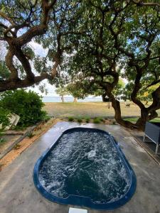 a small pool of water in a yard with trees at Villa No2 - Sun Tan Palmar in Belle Mare