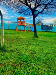 a playground with a tree and a swing set at Tacchini's Home in Plosca