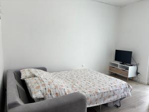 1 dormitorio con 1 cama, TV y sofá en Maison de village -Luberon - Villelaure, en Villelaure