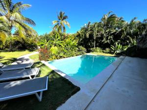uma piscina com duas espreguiçadeiras e palmeiras em Las Terrenas - Caribbean Villa for 6 people - Exceptional location em Las Terrenas