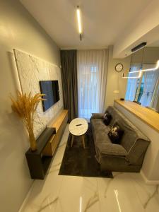 Μια τηλεόραση ή/και κέντρο ψυχαγωγίας στο AIR Studio & Garden