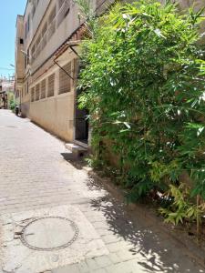 un arbusto al lado de un edificio al lado de una calle en Duplex Fes Médina - Friends Family Friendly en Fez