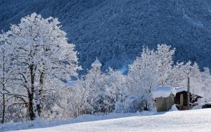 un grupo de árboles cubiertos de nieve con un edificio en Il Fontanile, en Aisone
