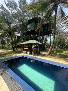 une piscine avec une cabane dans les arbres en arrière-plan dans l'établissement Yala Eco Tree House, à Tissamaharama