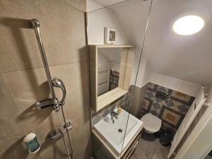 Koupelna v ubytování AZUR ROOMS LJUBLJANA + 37 fotografií