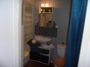 a bathroom with a sink and a toilet at les mésanges in La Grève-sur-Mignon