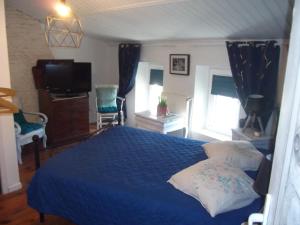 a bedroom with a blue bed and a television at les mésanges in La Grève-sur-Mignon
